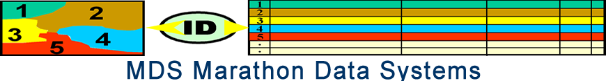 Marathon Data Systems logo